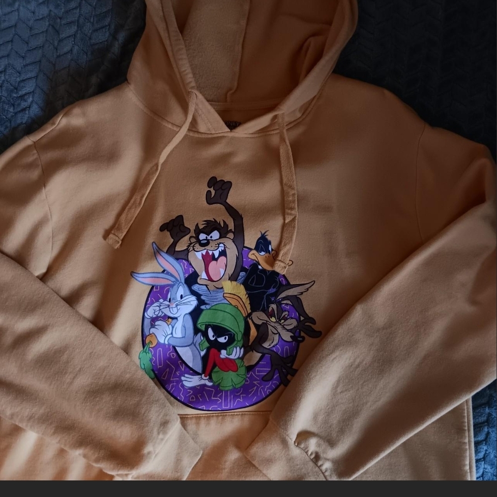 Looney Tunes Graphic Hoodie